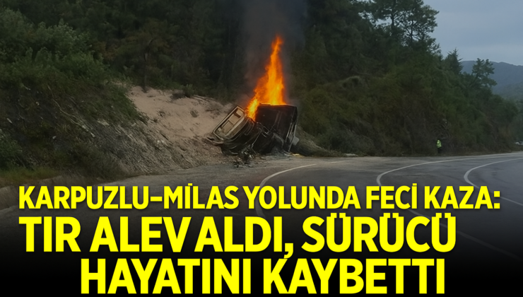 Karpuzlu-Milas Yolunda Feci Tır Kazası: Sürücü Hayatını Kaybetti