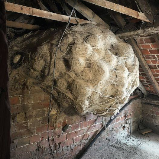 He Thought It Was Just an Old Box in the Attic – What He Found Left Him Shaken
