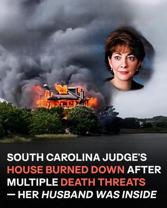 Judge Diane Goodstein Was Out for a Walk When Her Home Caught Fire — Three People Were Still Inside