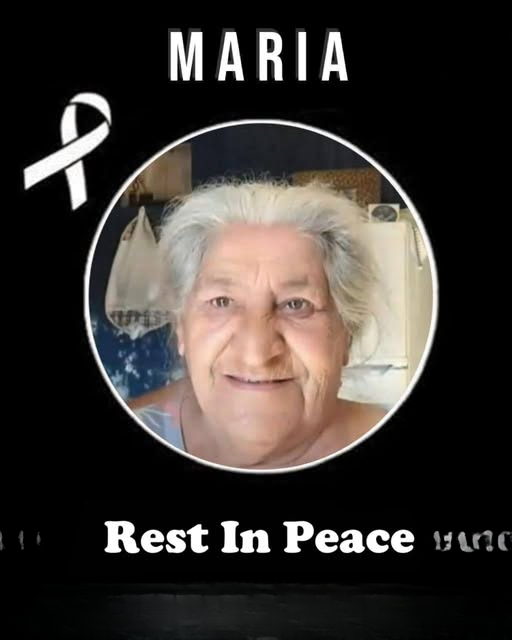 Woman Found Lifeless in Motel Room — Her Last Words Broke Everyone’s Heart