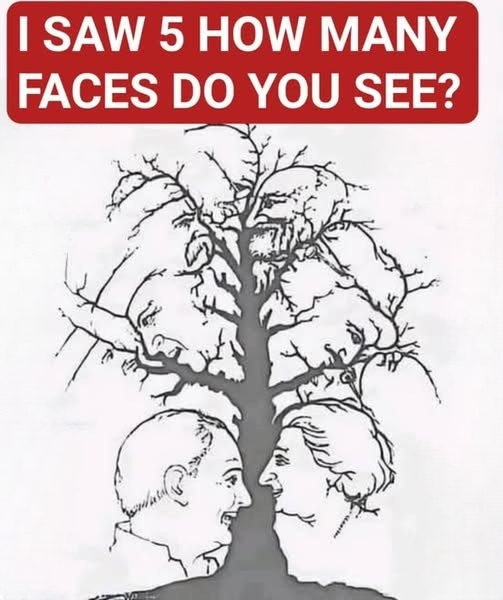 Can You Spot Every Face in This Optical Illusion