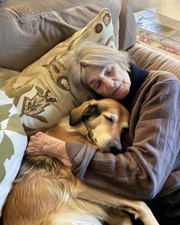 While My Family Argued Over Grandma’s Will, I Took Her Dog — and Found the Secret She Left Just for Me