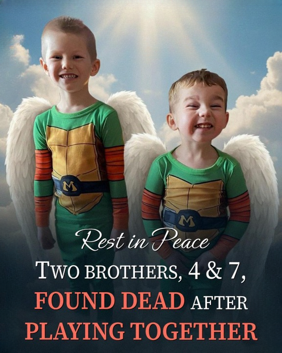 Two Little Brothers Went Missing During a Family Day Out — The Truth Is Devastating