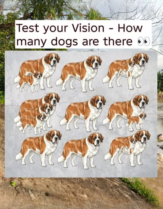 Only 1 in 10 People Can Spot All the Dogs — Can You?