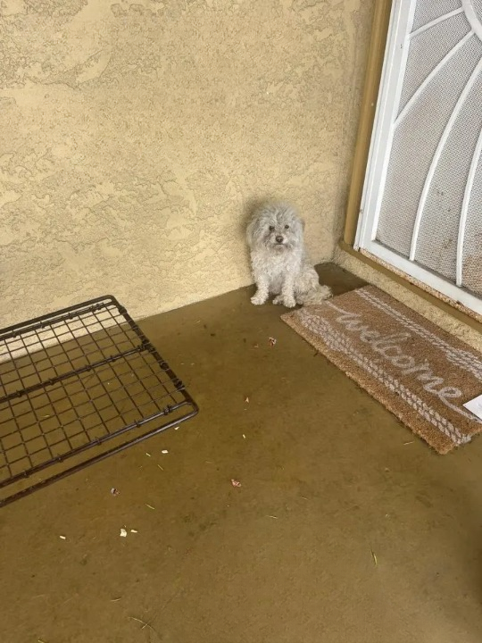 Source: Facebook.com