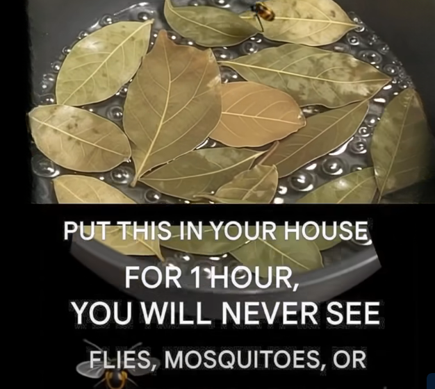 The Natural Way to Keep Pests Away — Simple Home Tricks That Really Work