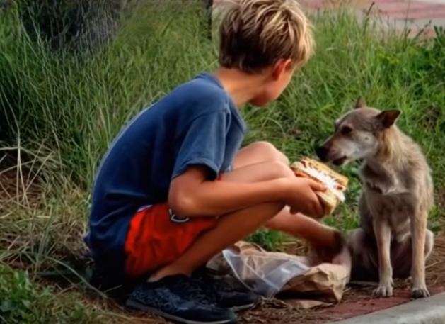 My Son’s Small Act of Kindness Led to a Life-Changing Discovery