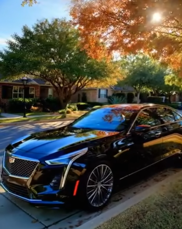 My Aunt Forced Me to Leave My Childhood Home After My Parents Passed — Then a Black Limo Arrived