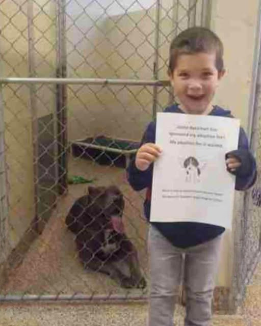 An Unlikely Friendship, A Childs Heart and a Forgotten Soul