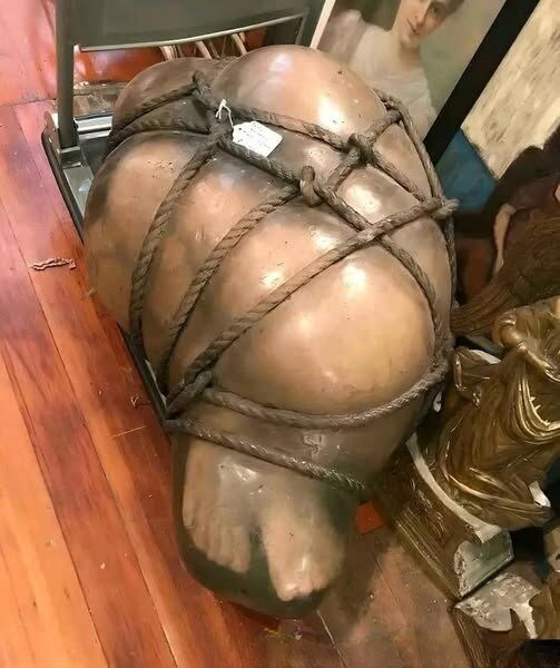 Found this thing! What is it? Find Out