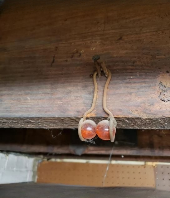 Unlock the Hidden Power of an Ancient Relic!