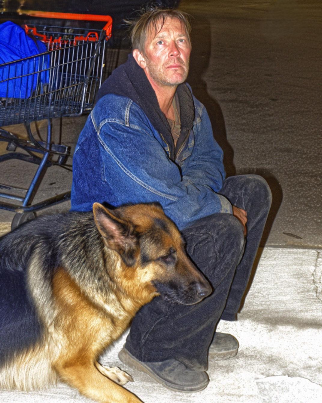 I Gave Food to a Hungry Veteran and His Dog – a Month Later, My Boss Dragged Me into His Office, Furious, and My Whole Life Flipped Upside Down